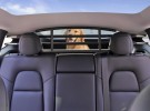 Hunde og Lastegitter Tesla Model Y thumbnail