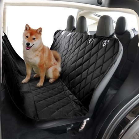 Hund i bilen 